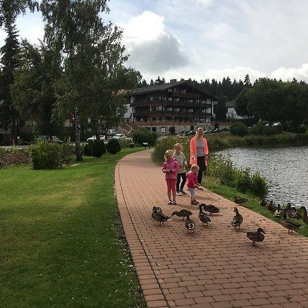 Fewo Andresen Hahnenklee Гослар Экстерьер фото