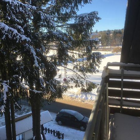 Fewo Andresen Hahnenklee Гослар Экстерьер фото