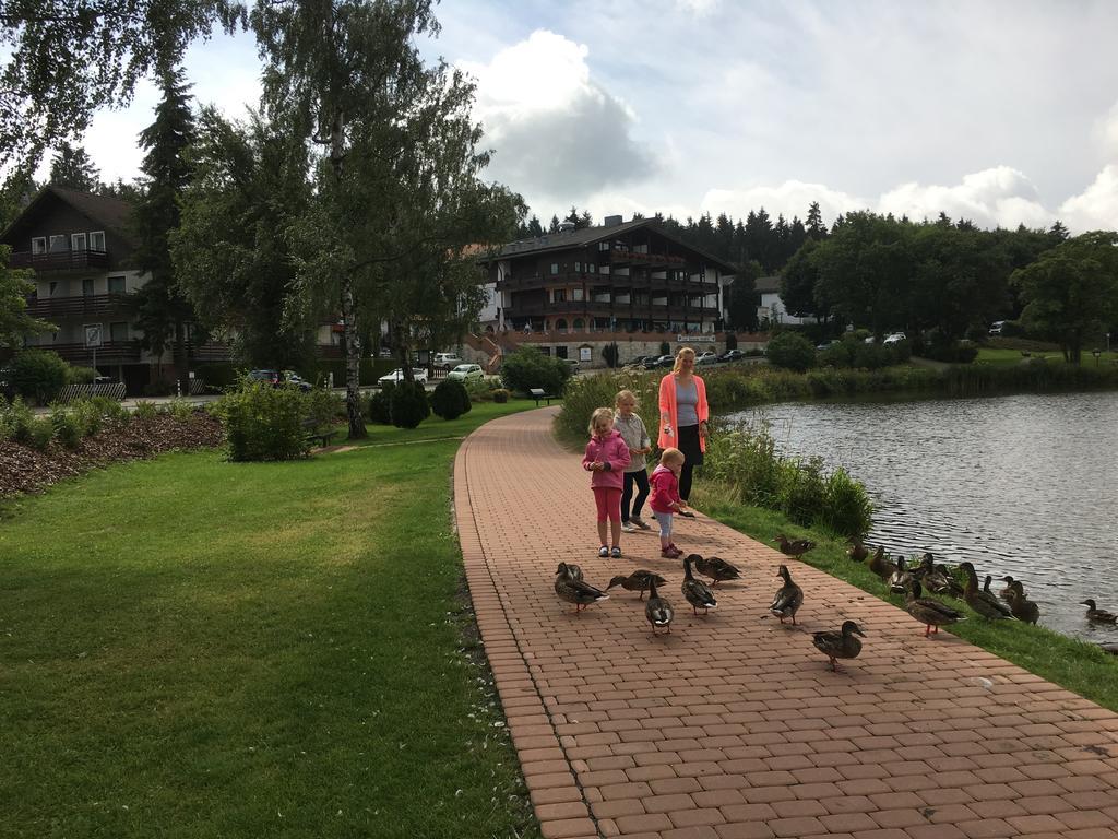 Fewo Andresen Hahnenklee Гослар Экстерьер фото